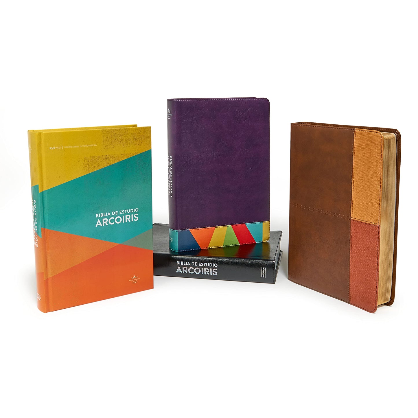 Reina Valera 1960 Biblia de Estudio Arcoíris, morado/multicolor | RVR 1960 Rainbow Study Bible Purple/multicolor LeatherTouch (Spanish Edition)