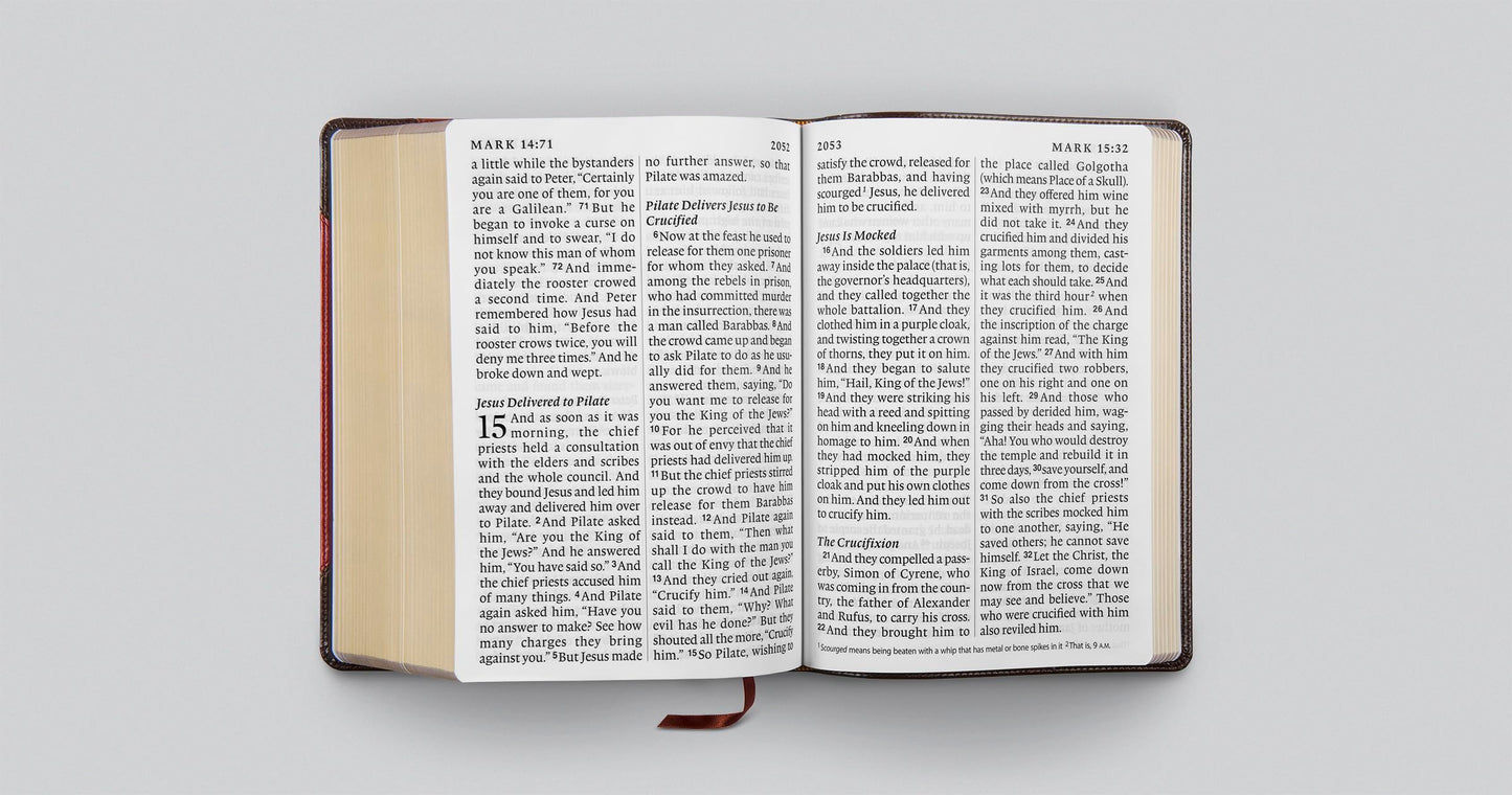 ESV Super Giant Print Bible (TruTone, Brown/Cordovan, Portfolio Design): Holy Bible, English Standard Version