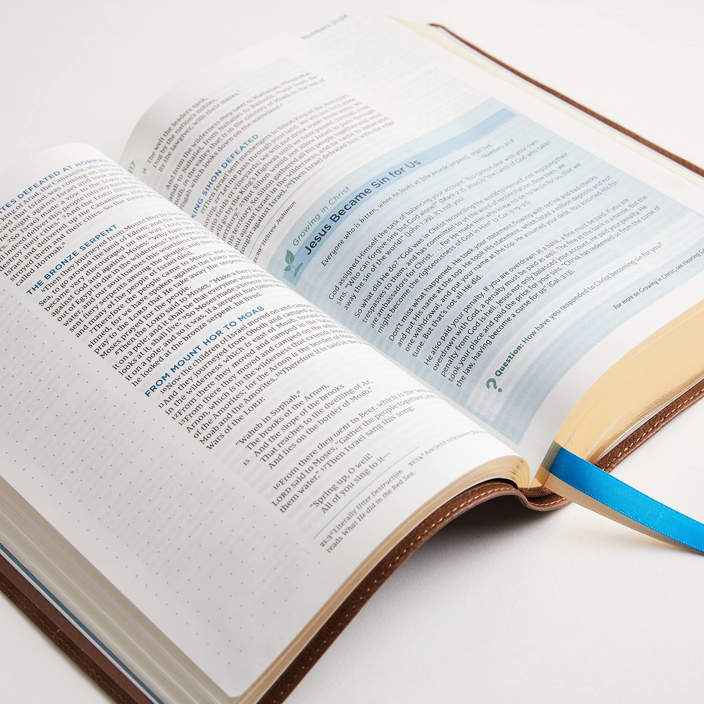 NIV, Lucado Encouraging Word Bible, Leathersoft, Blue, Comfort Print: Holy Bible, New International Version