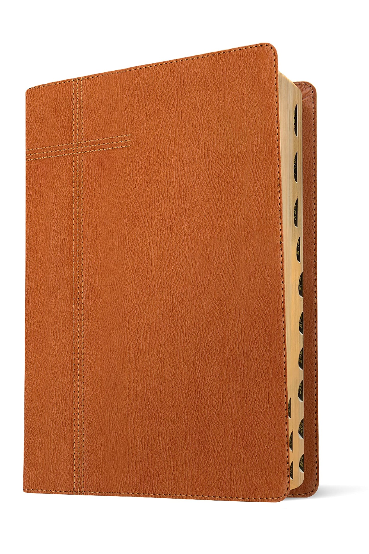 Every Man's Bible NLT, Large Print (LeatherLike, Pursuit Saddle Tan, Indexed)