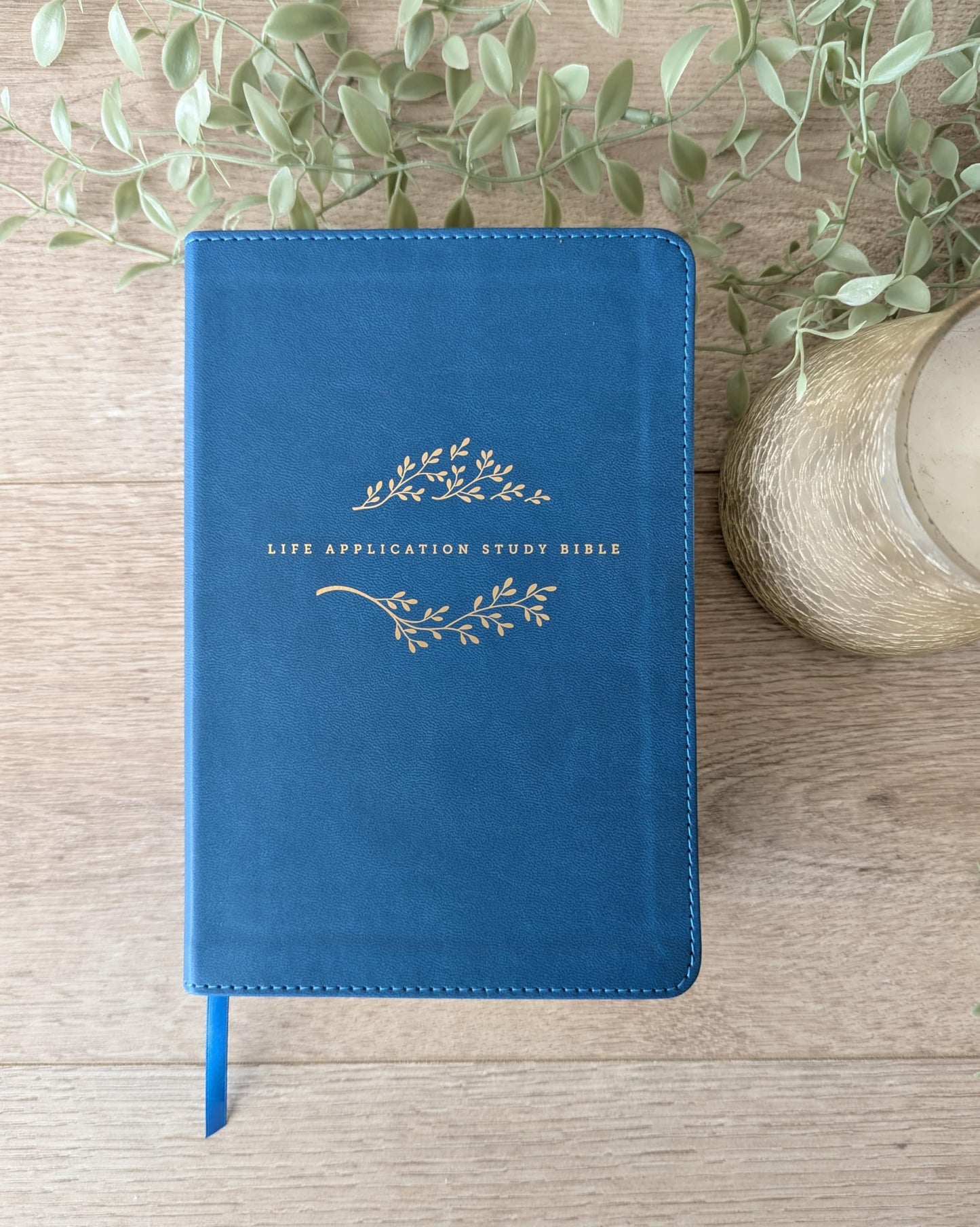 NLT Life Application Study Bible, Third Edition, Personal Size (LeatherLike, Teal Blue, Indexed, Red Letter)