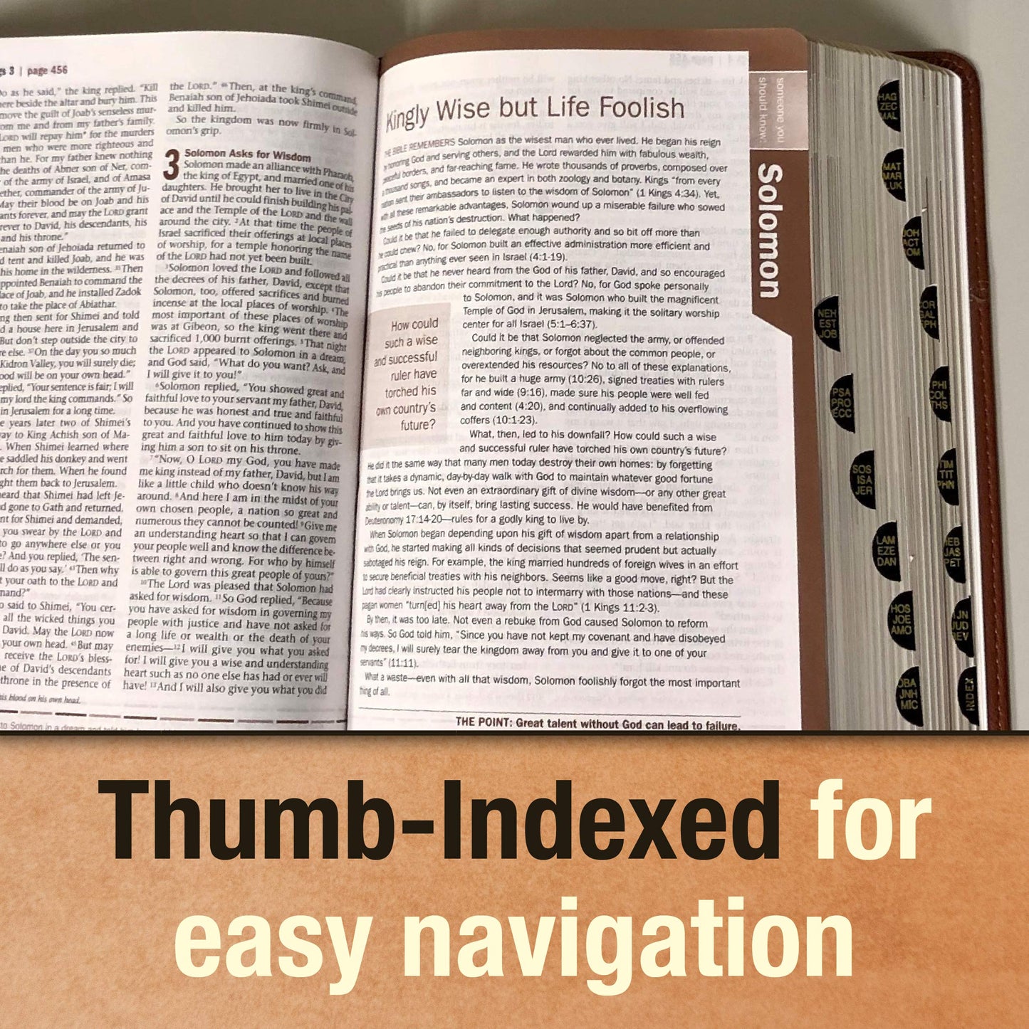 Every Man's Bible NLT, Deluxe Explorer Edition (LeatherLike, Brown, Indexed)