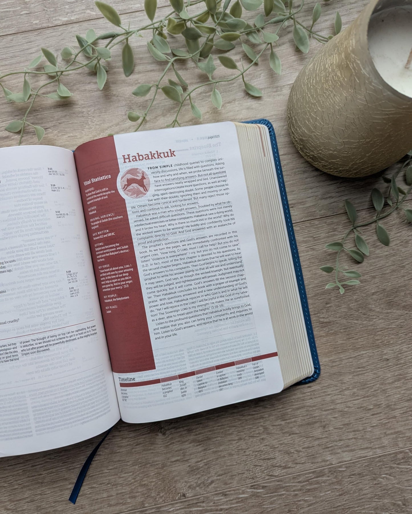 NLT Life Application Study Bible, Third Edition, Personal Size (LeatherLike, Teal Blue, Red Letter)