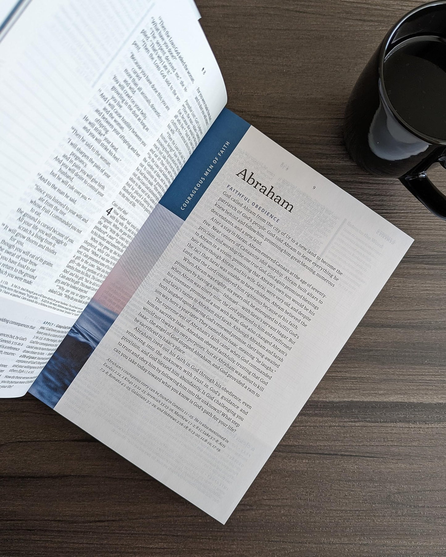 NLT Courage For Life Study Bible for Men, Filament Enabled (LeatherLike, Rustic Brown Lion)