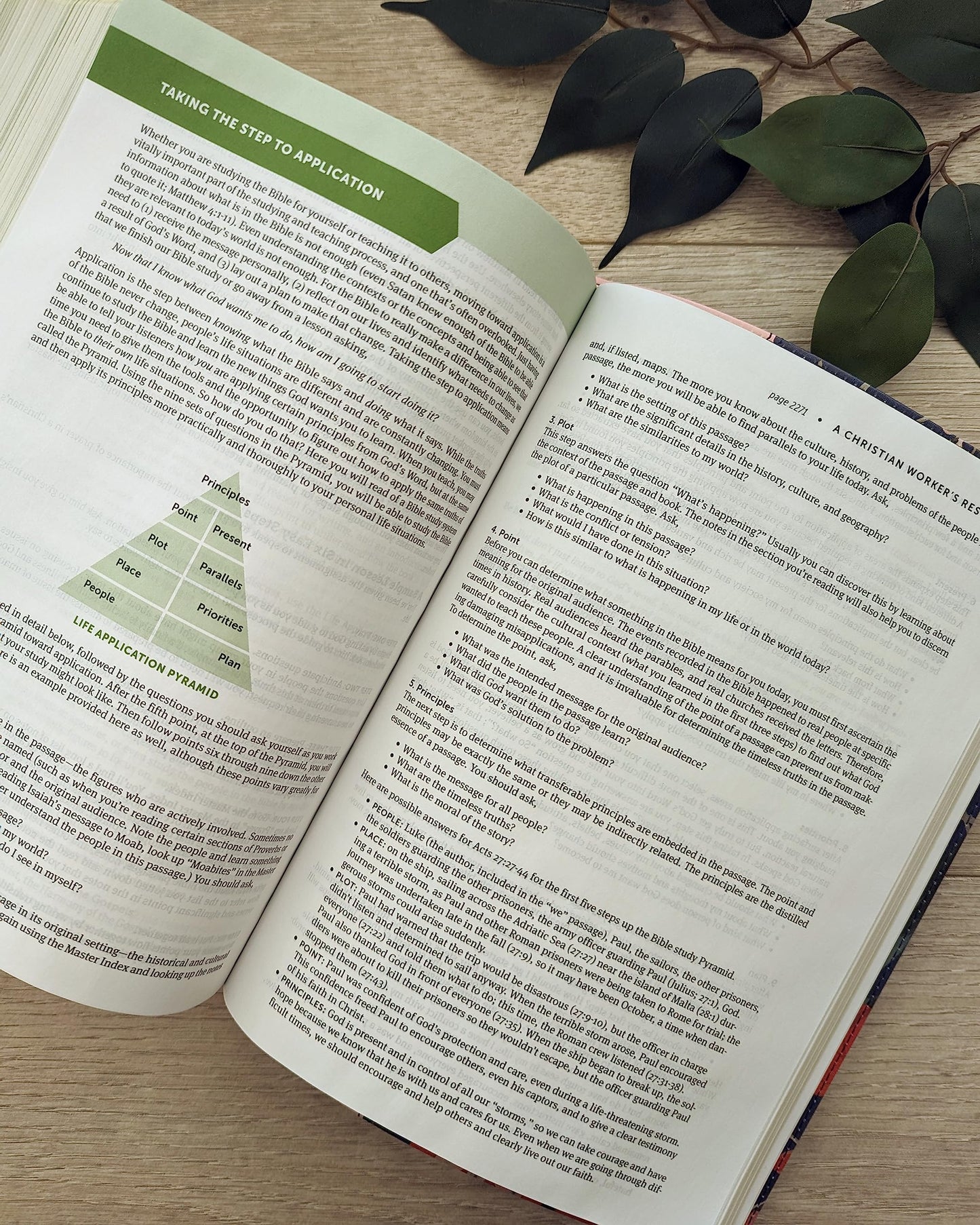 NLT Life Application Study Bible, Third Edition (LeatherLike, Pink Evening Bloom, Red Letter)