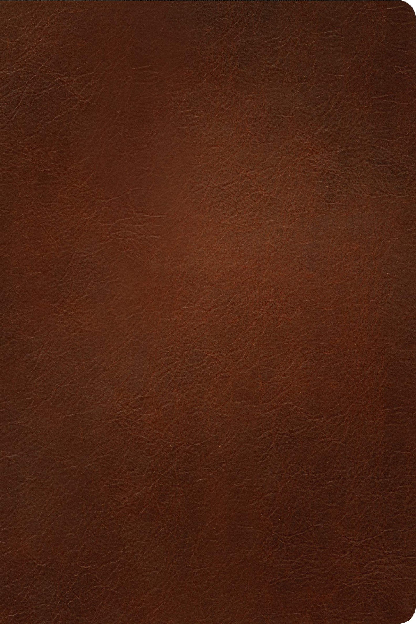 NLT Personal Size Giant Print Bible, Filament Enabled (Genuine Leather, Brown, Red Letter): Includes Free Access to the Filament Bible App Delivering Study Notes, Devotionals, Worship Music, and Video