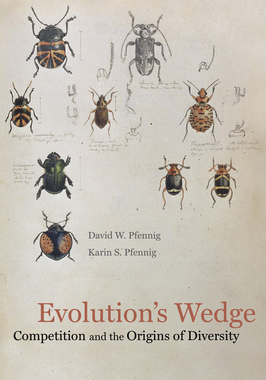 Evolution's Wedge: Competition and the Origins of Diversity (Organisms and Environments Book 12)