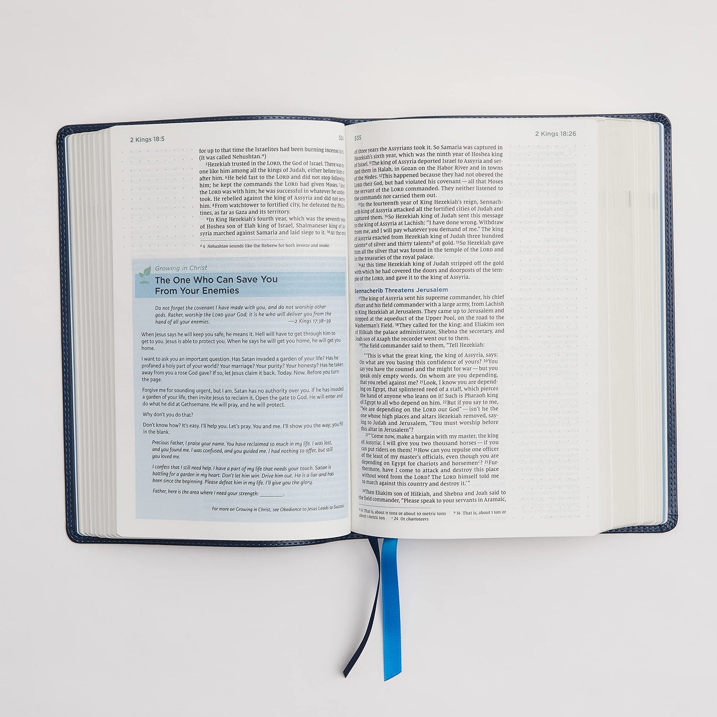 NIV, Lucado Encouraging Word Bible, Leathersoft, Blue, Thumb Indexed, Comfort Print: Holy Bible, New International Version