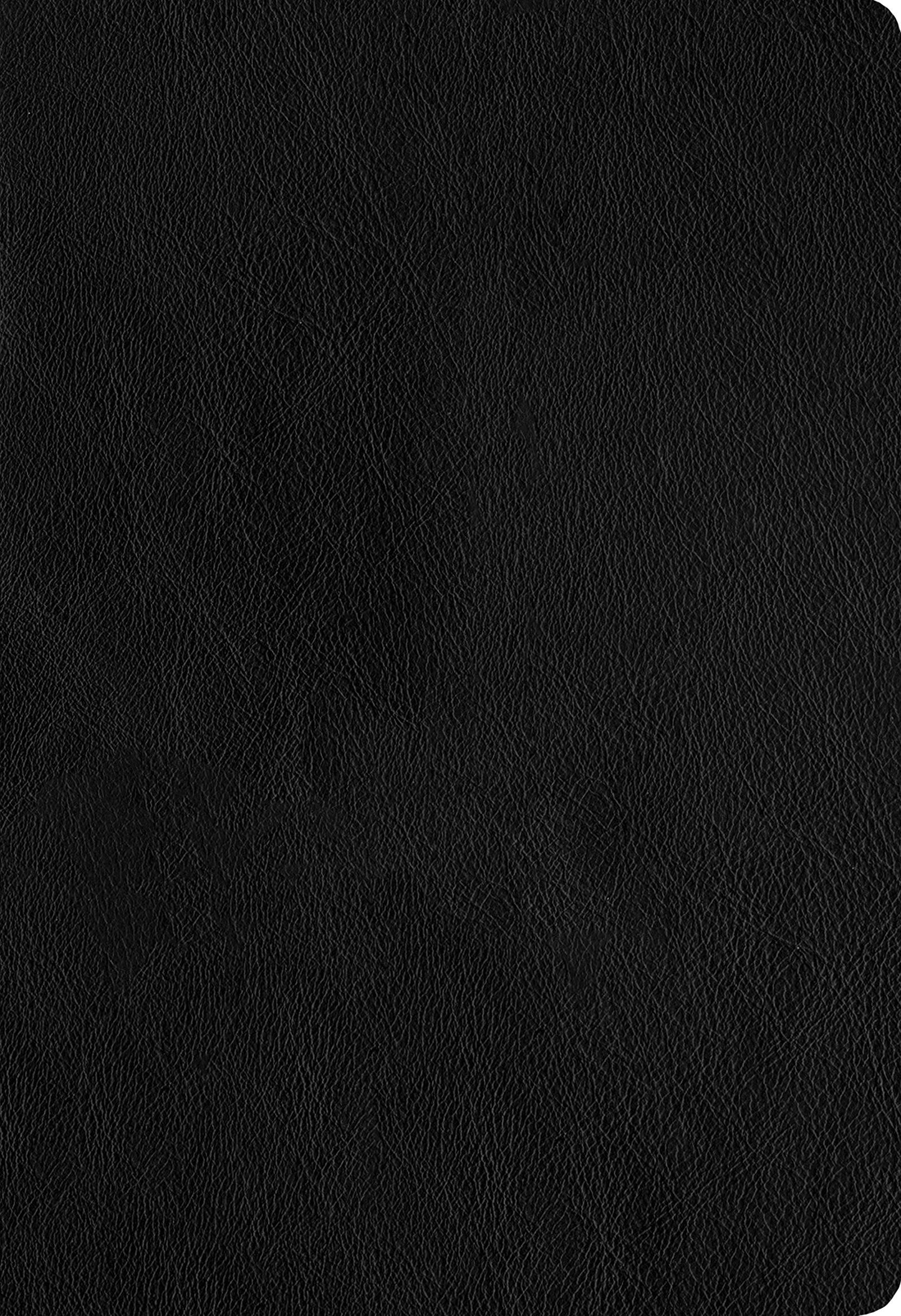 NLT Large Print Thinline Reference Holy Bible (Red Letter, Genuine Leather, Black): Includes Free Access to the Filament Bible App Delivering Study Notes, Devotionals, Worship Music, and Video