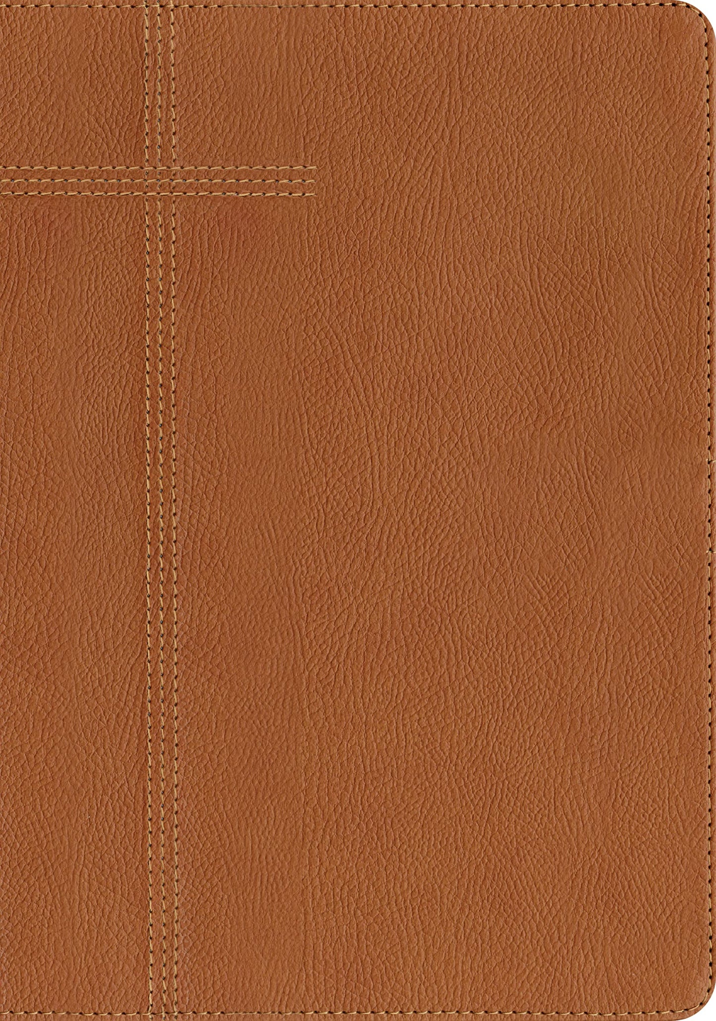 Every Man's Bible NLT, Large Print (LeatherLike, Pursuit Saddle Tan, Indexed)