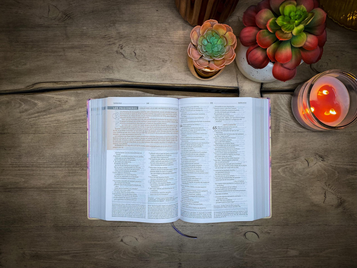 NVI, Biblia de Estudio para la Mujer NVI, Leathersoft/Tela Lila, Comfort Print (Spanish Edition)