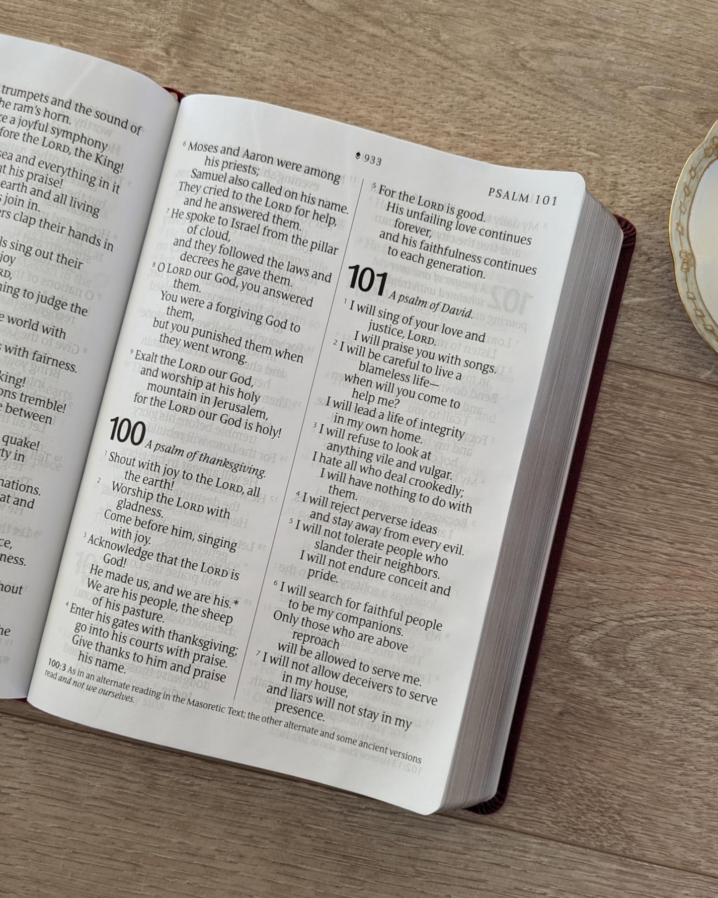 NLT Giant Print Bible, Filament Enabled (LeatherLike, Cranberry Flourish, Indexed, Red Letter)