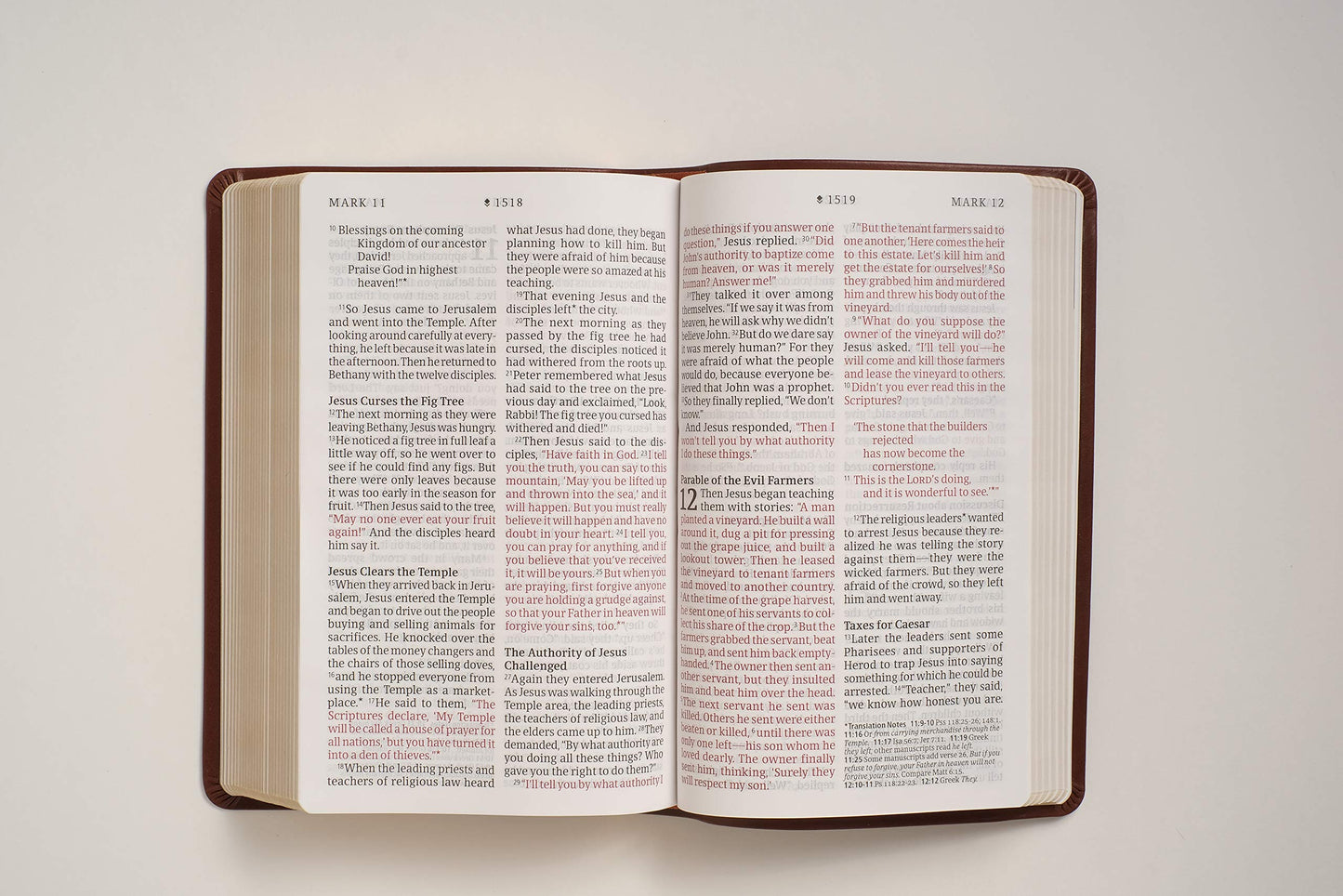 NLT Personal Size Giant Print Bible, Filament Enabled (Genuine Leather, Brown, Red Letter): Includes Free Access to the Filament Bible App Delivering Study Notes, Devotionals, Worship Music, and Video