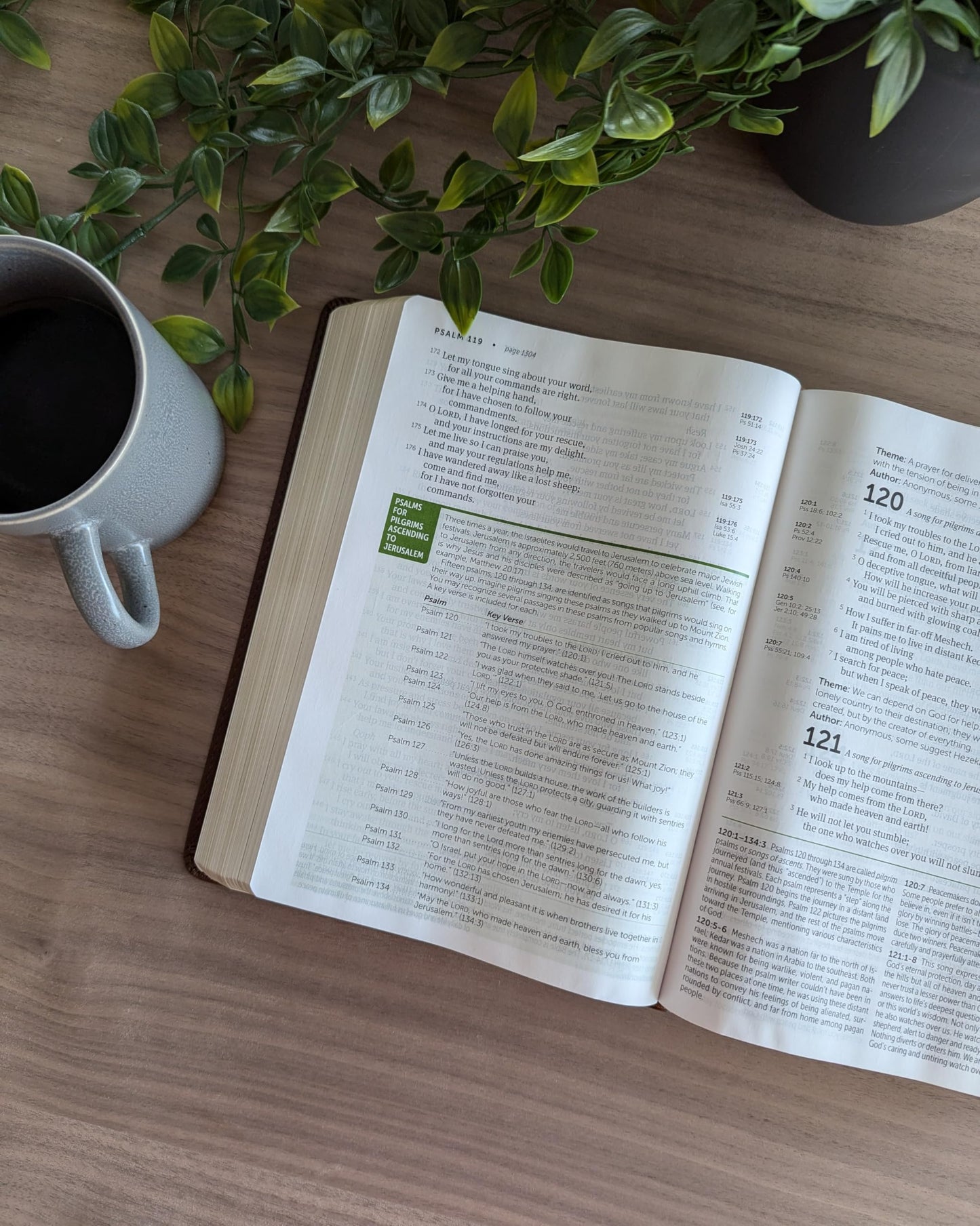 NLT Life Application Study Bible, Third Edition, Large Print (LeatherLike, Rustic Brown Leaf, Indexed, Red Letter)