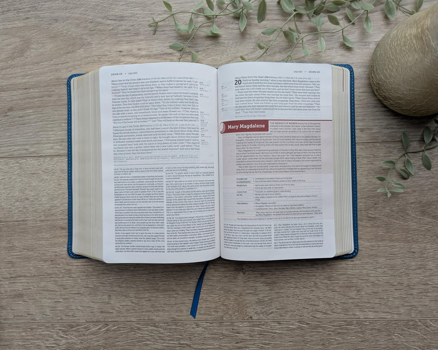 NLT Life Application Study Bible, Third Edition, Personal Size (LeatherLike, Teal Blue, Indexed, Red Letter)