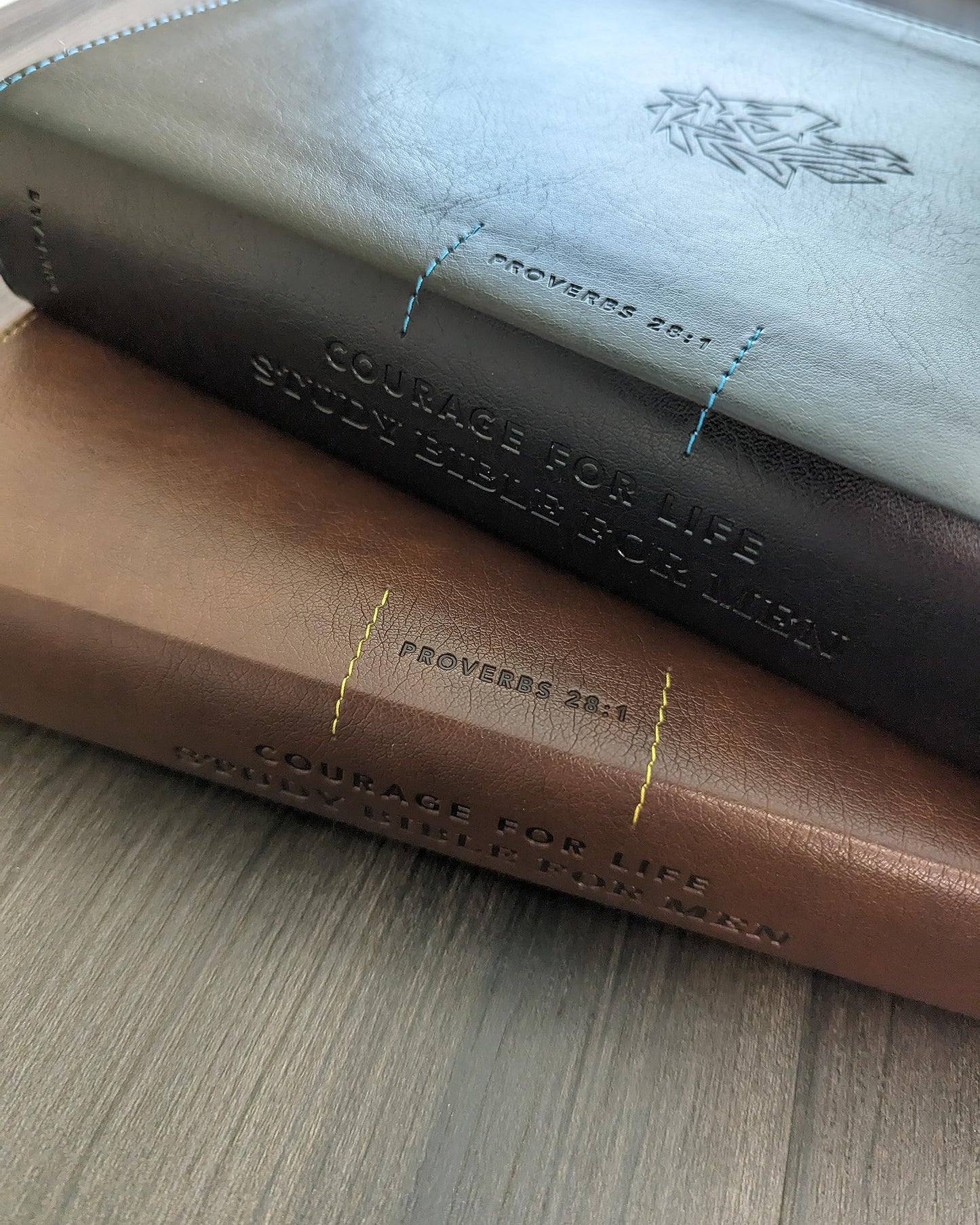 NLT Courage For Life Study Bible for Men, Filament Enabled (LeatherLike, Onyx Lion)