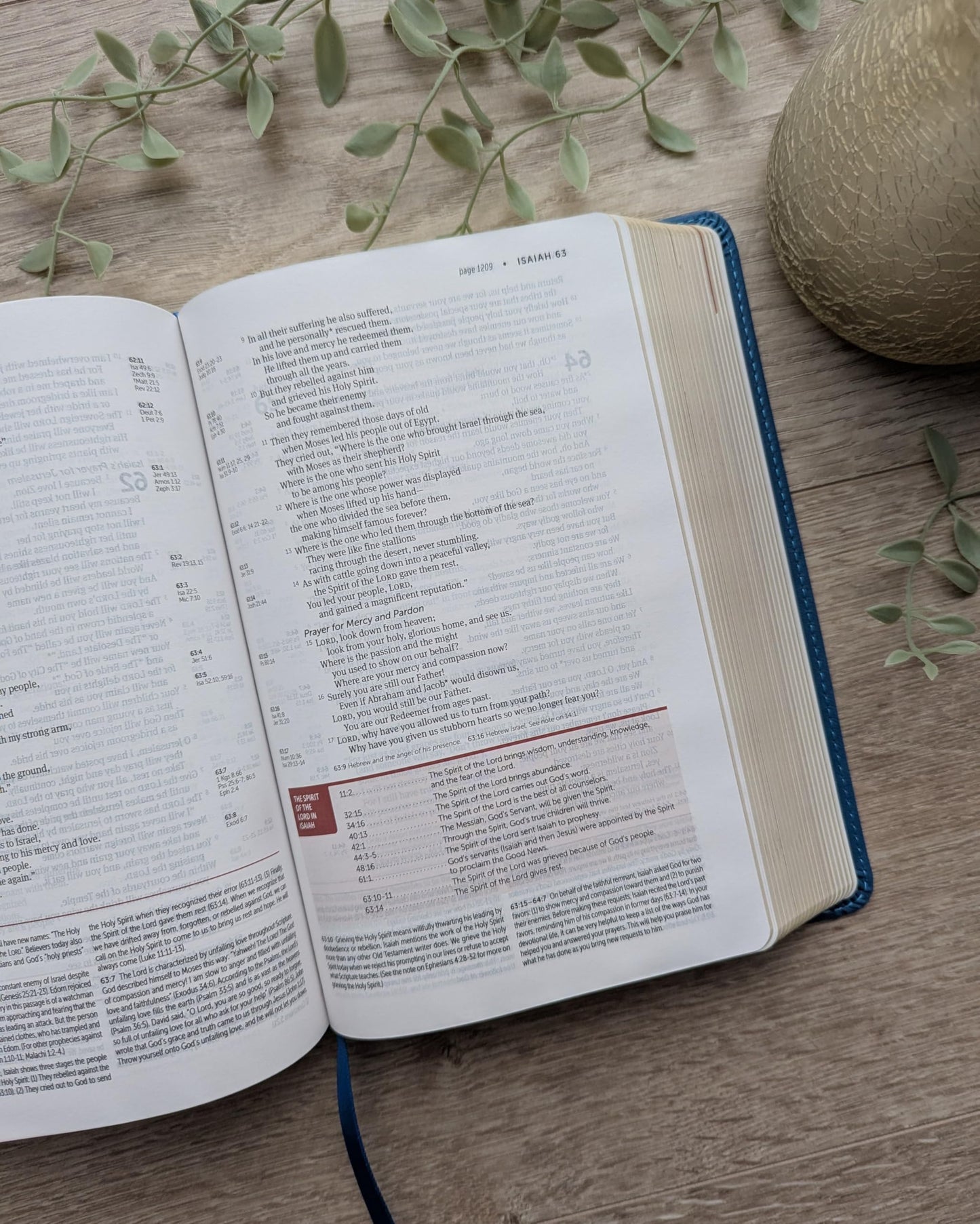 NLT Life Application Study Bible, Third Edition, Personal Size (LeatherLike, Teal Blue, Red Letter)