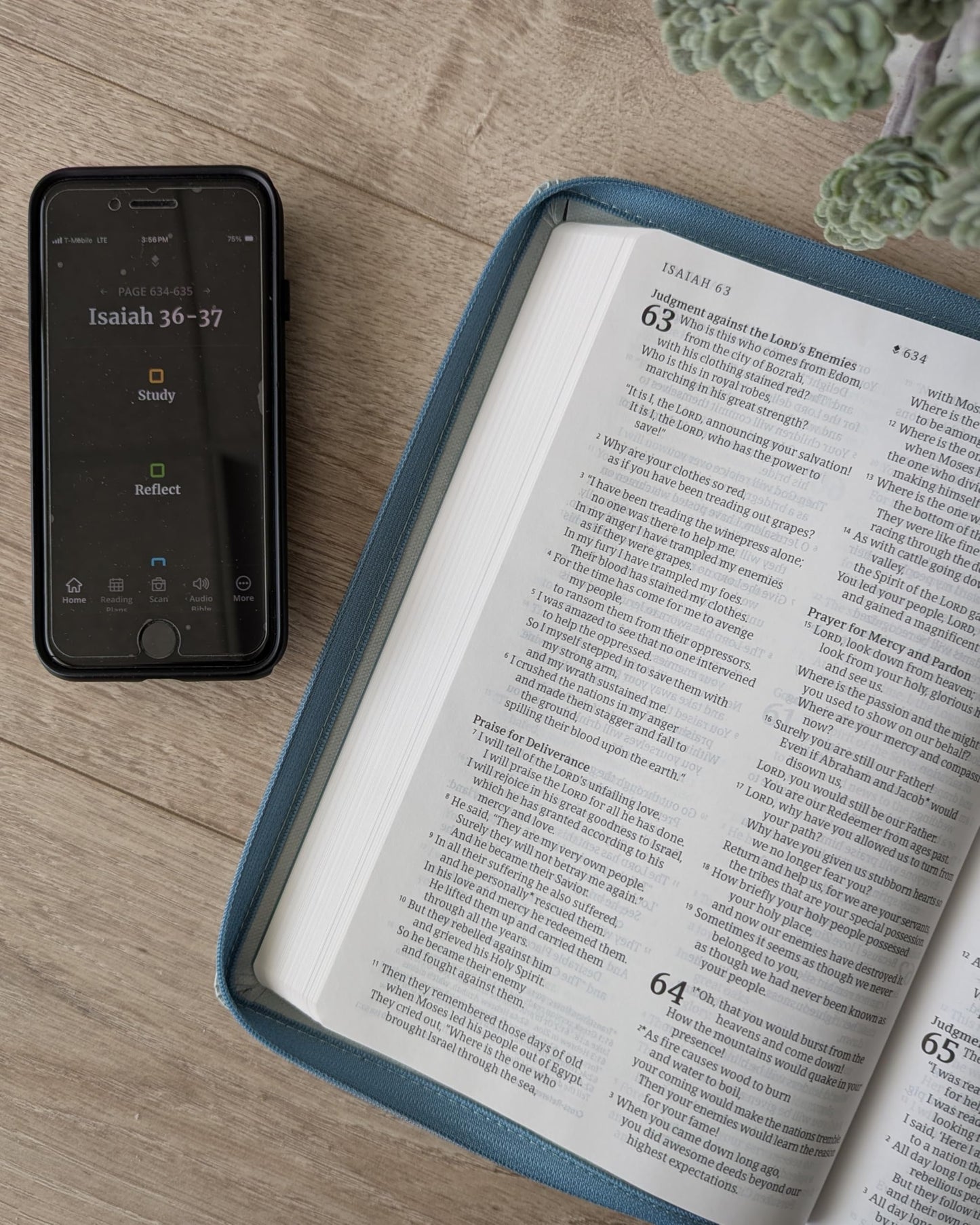 NLT Large Print Thinline Reference Zipper Bible, Filament Enabled (LeatherLike, Baby Blue Blossoms, Indexed, Red Letter)