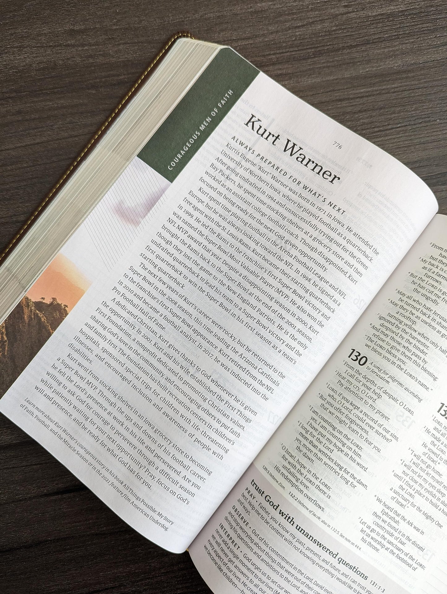 NLT Courage For Life Study Bible for Men, Filament Enabled (LeatherLike, Rustic Brown Lion)