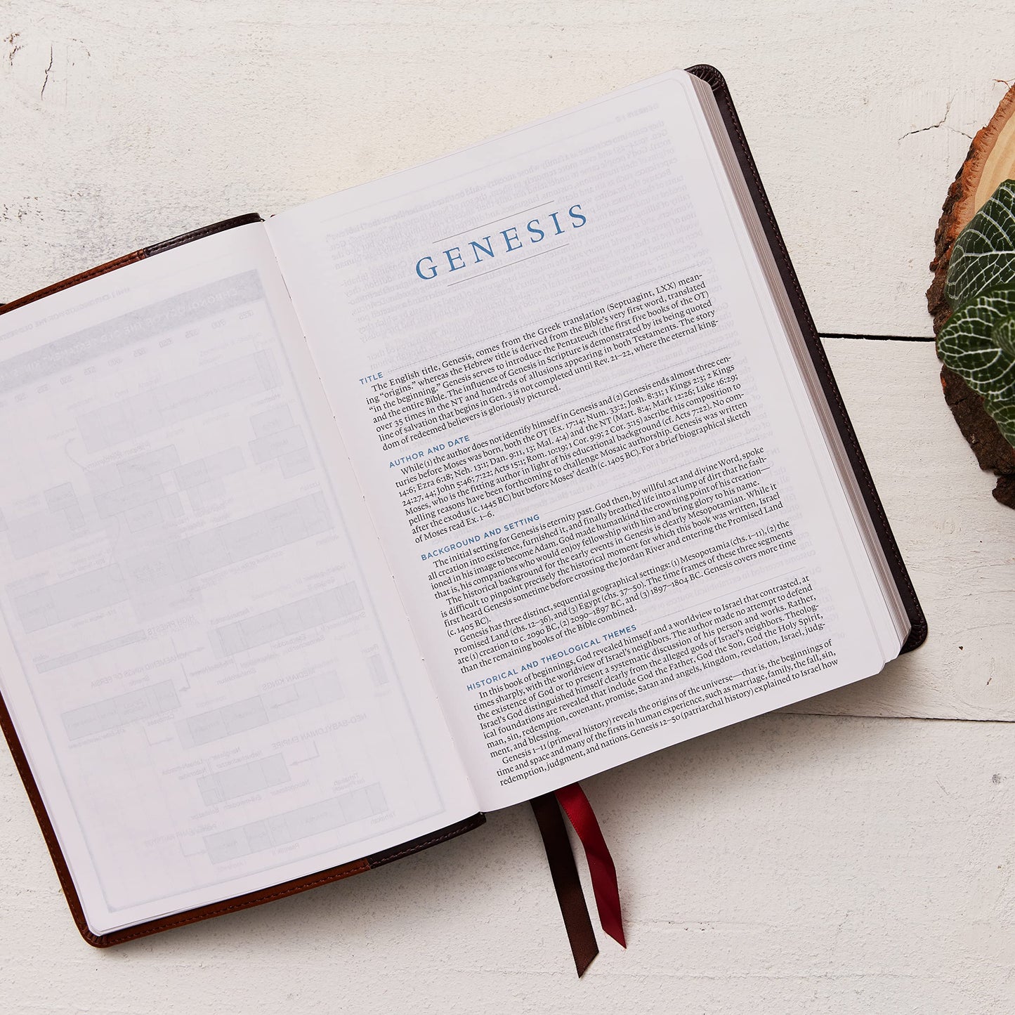 ESV, MacArthur Study Bible, 2nd Edition, Premium Goatskin Leather, Brown, Premier Collection: Unleashing God's Truth One Verse at a Time