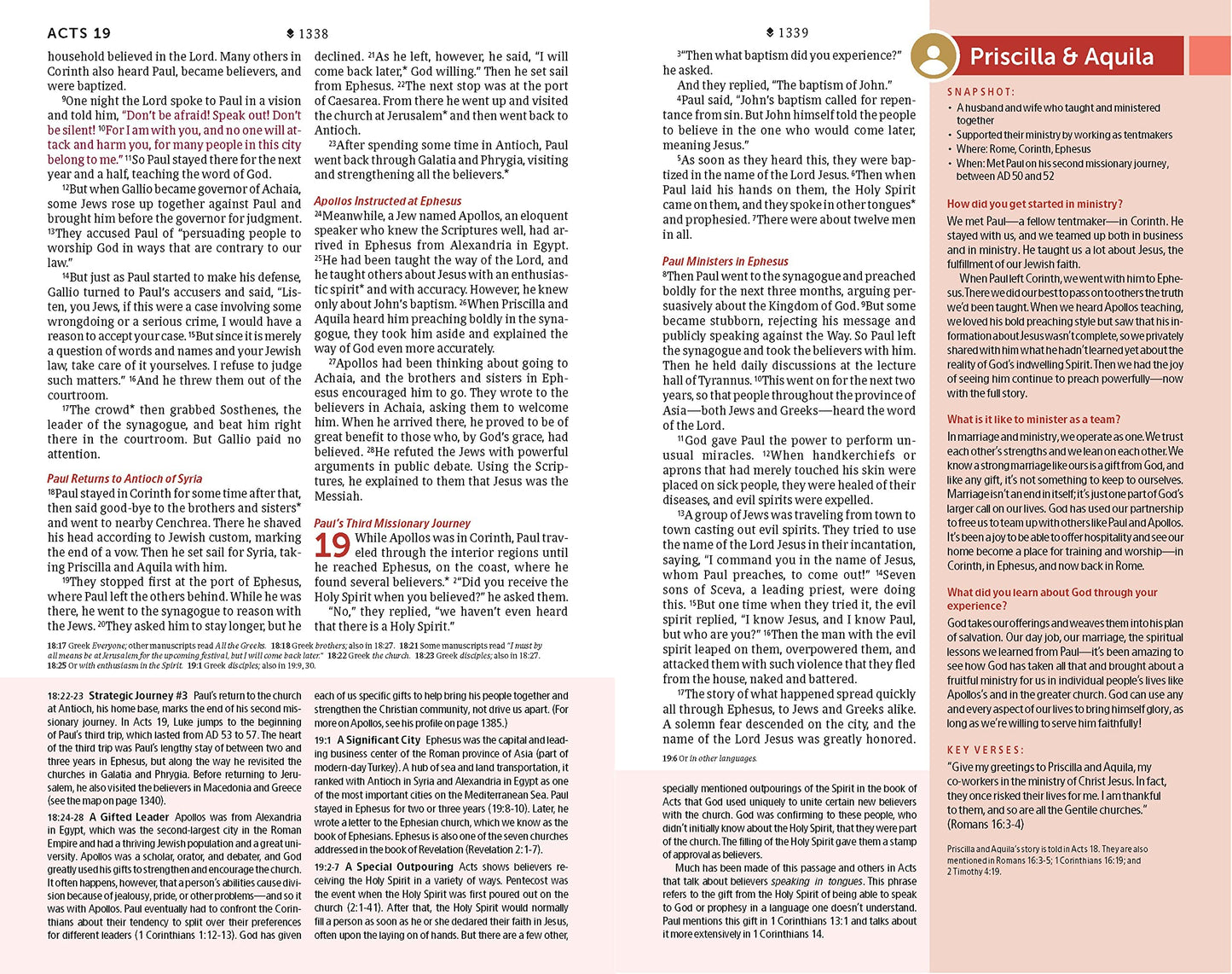 NLT Student Life Application Study Bible, Filament Enabled (LeatherLike, Charcoal Gray Striped, Indexed, Red Letter)