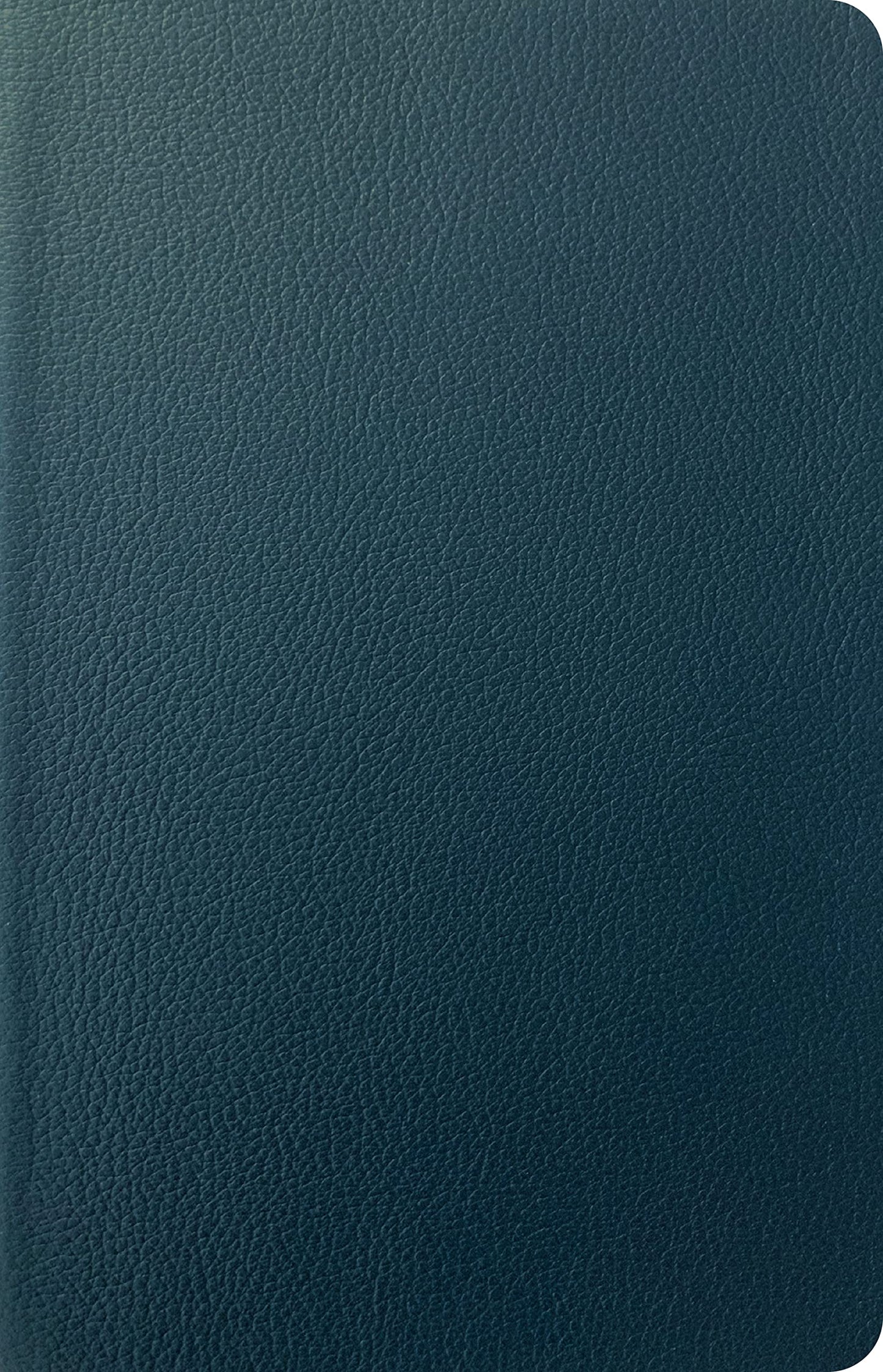 NLT Personal Size Giant Print Bible, Filament Enabled (Genuine Leather, Navy Blue, Indexed, Red Letter)