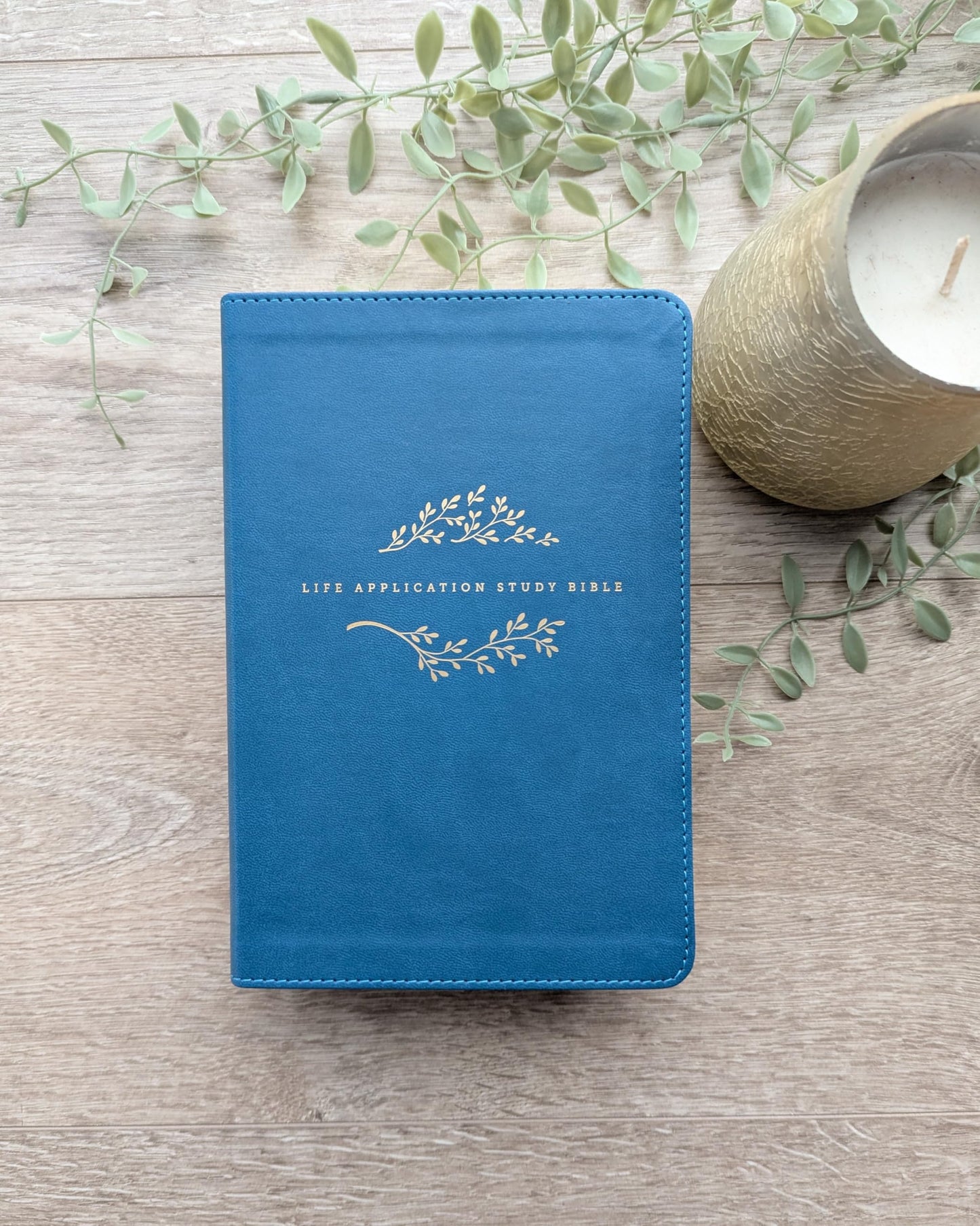 NLT Life Application Study Bible, Third Edition, Personal Size (LeatherLike, Teal Blue, Red Letter)