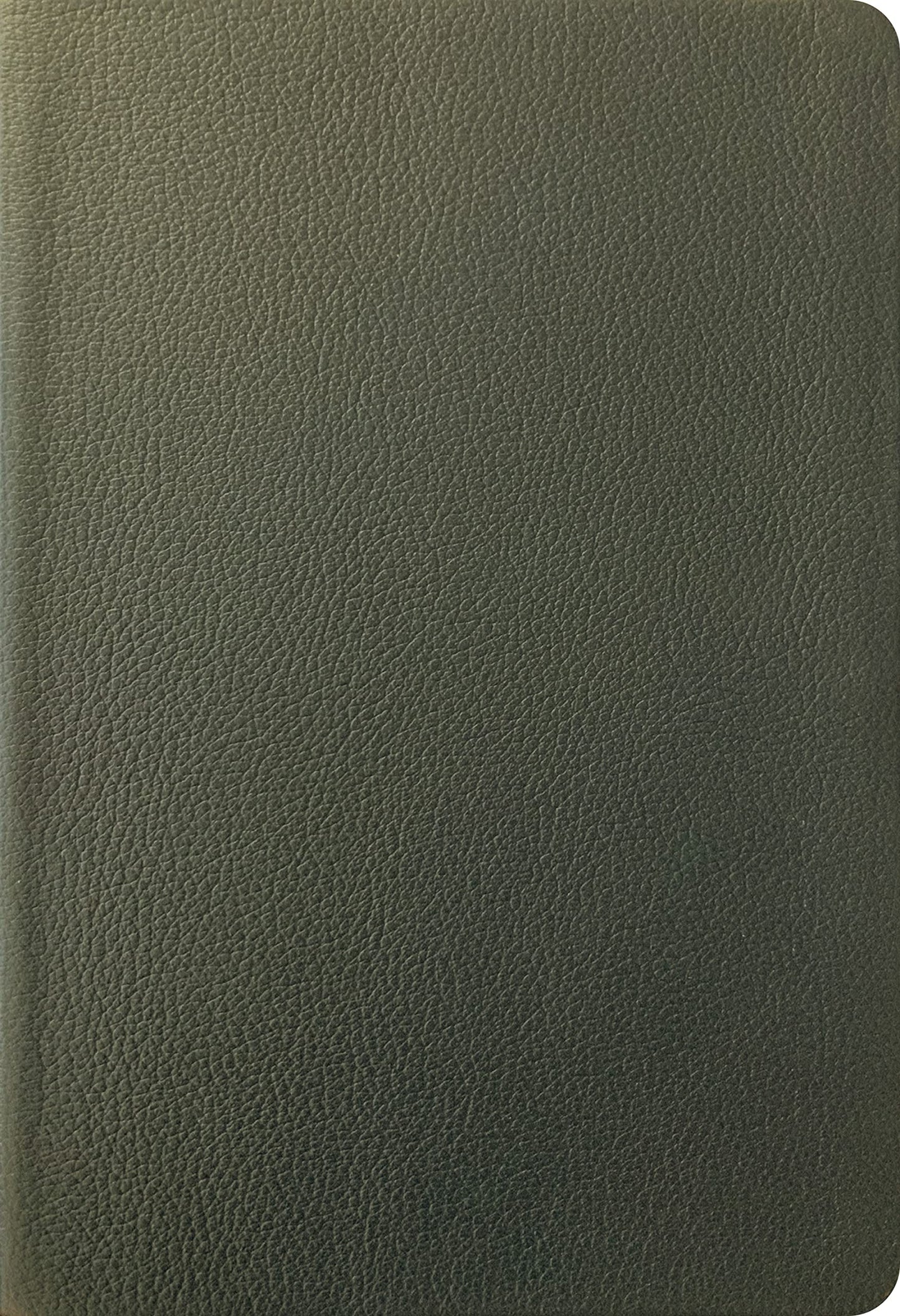 NLT Large Print Thinline Reference Bible, Filament Enabled (Genuine Leather, Olive Green, Indexed, Red Letter)