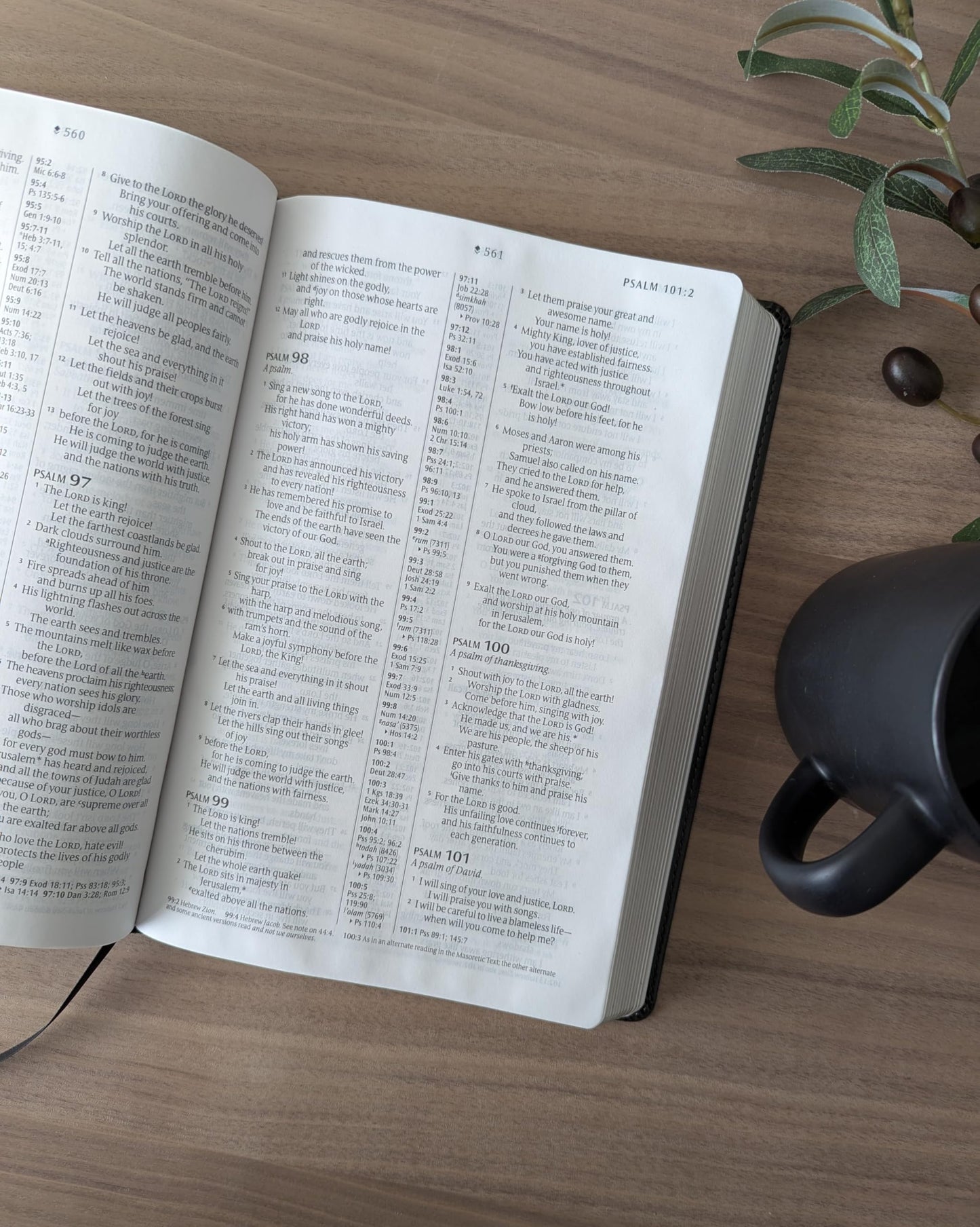 NLT Large Print Thinline Center-Column Reference Bible, Filament Enabled (LeatherLike, Black Holy Windows, Indexed, Red Letter)