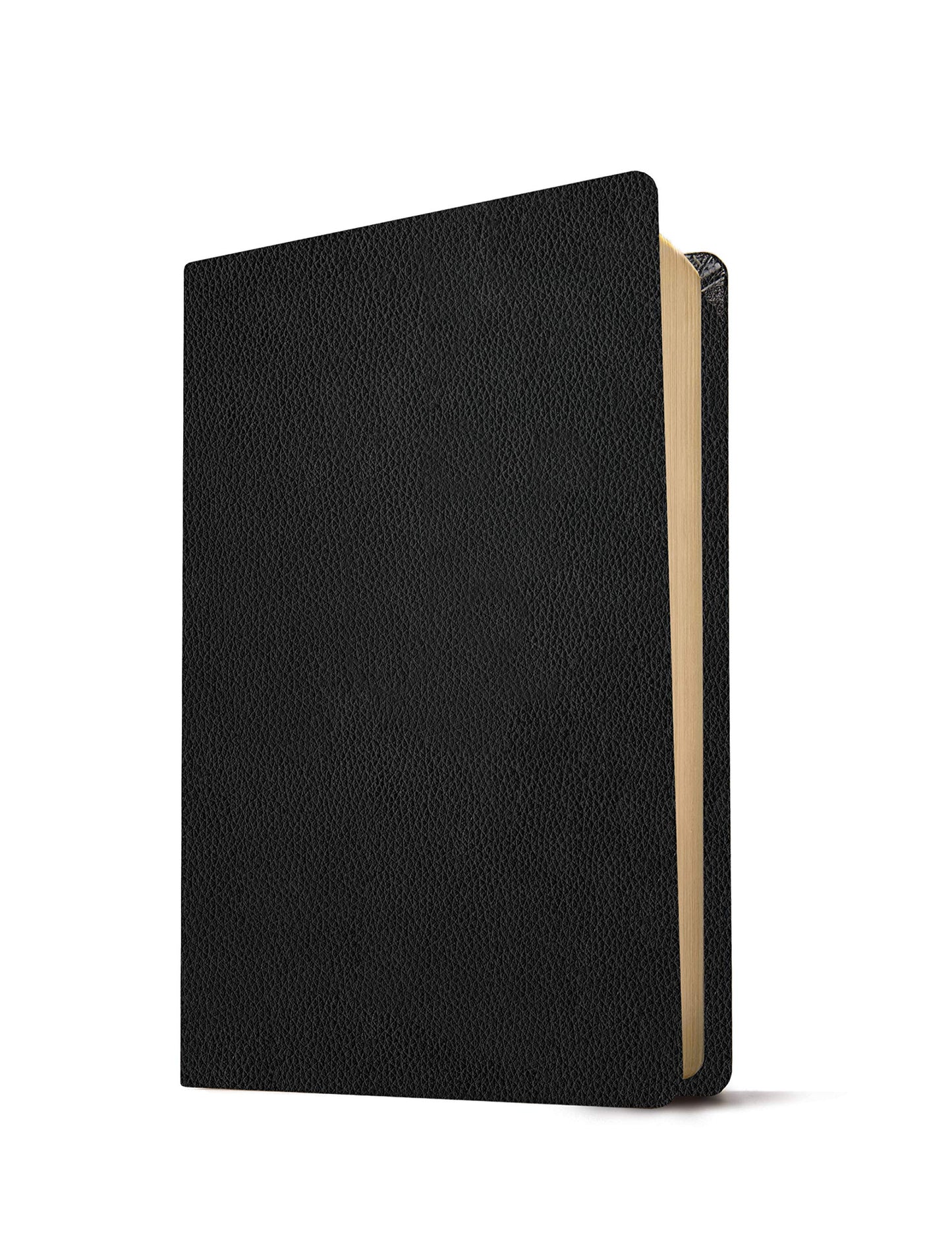 NLT Large Print Thinline Reference Holy Bible (Red Letter, Genuine Leather, Black): Includes Free Access to the Filament Bible App Delivering Study Notes, Devotionals, Worship Music, and Video