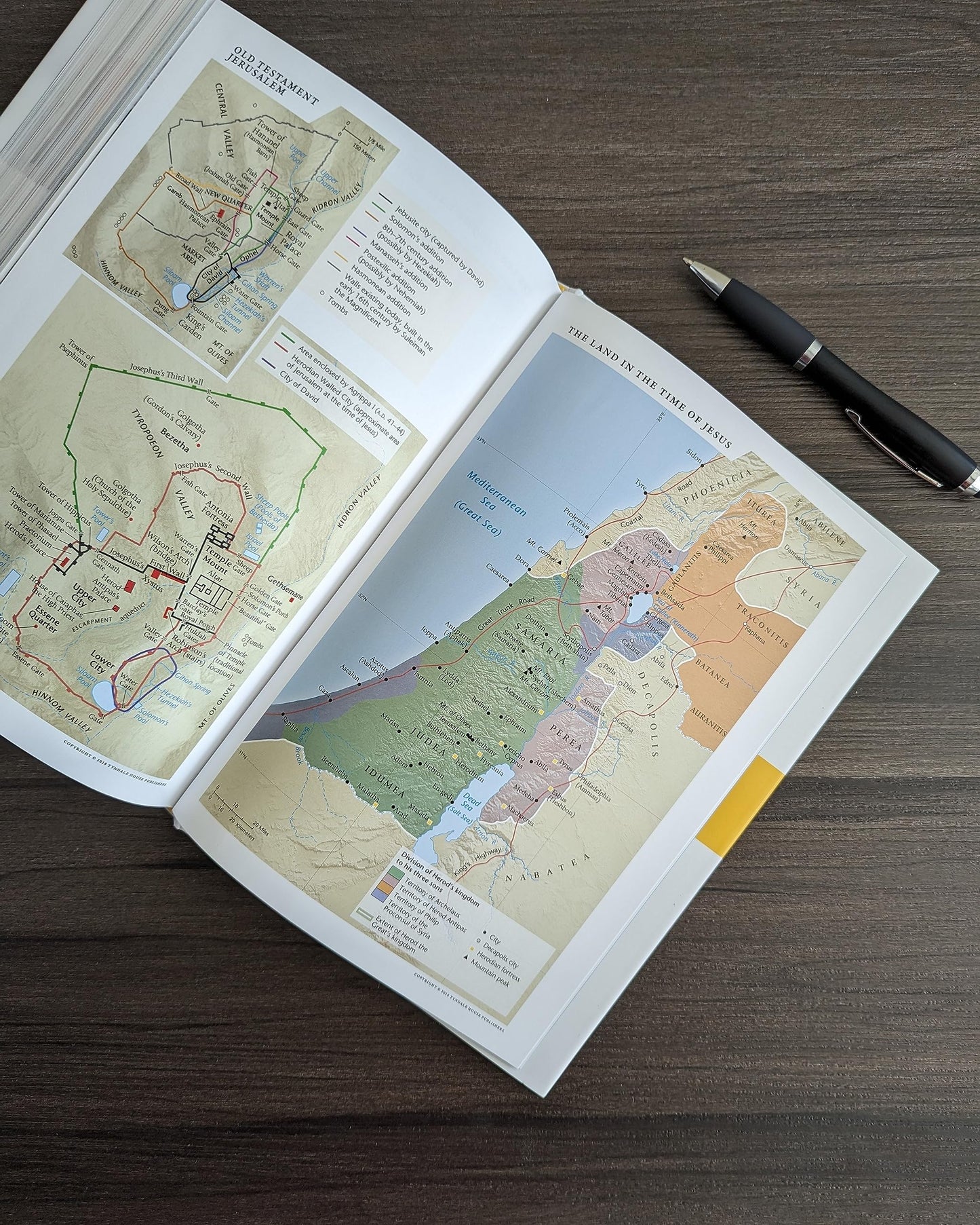 NLT Courage For Life Study Bible for Men, Filament Enabled (LeatherLike, Rustic Brown Lion)