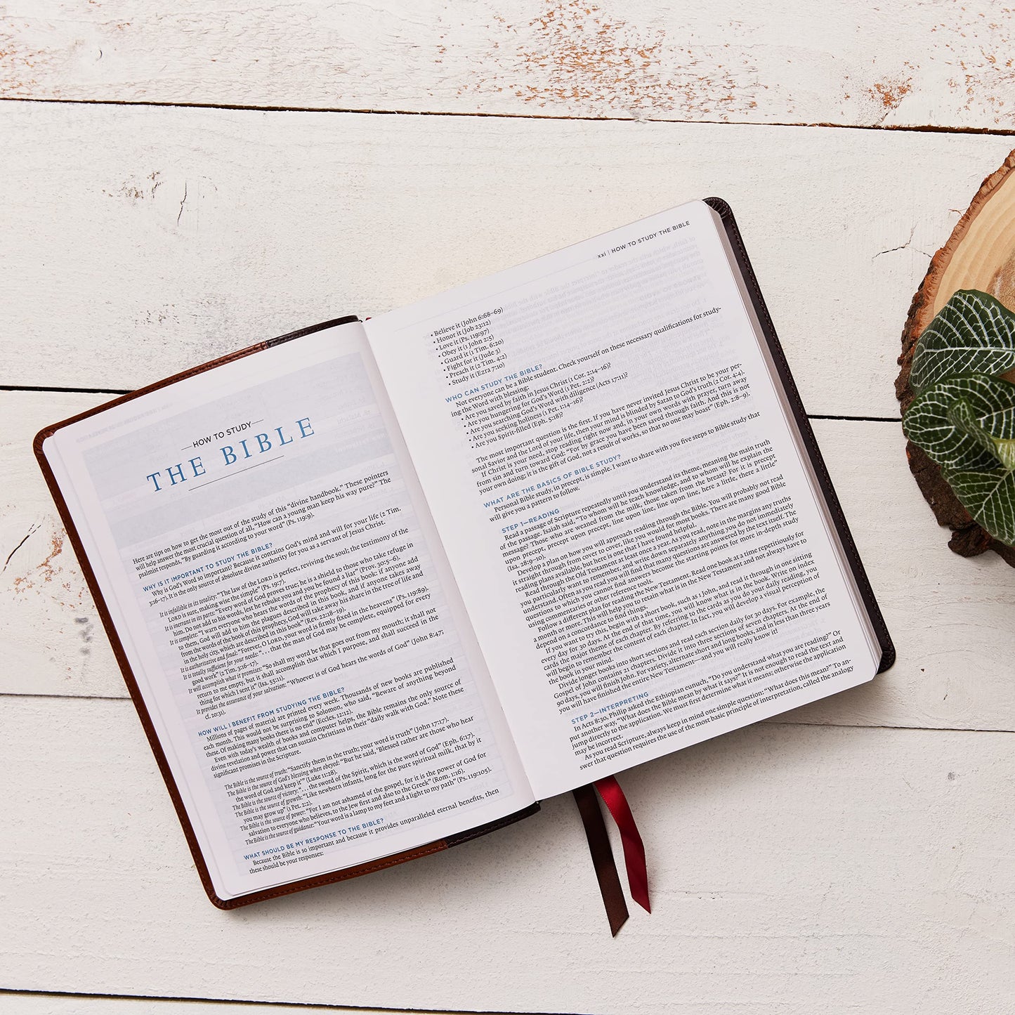 ESV, MacArthur Study Bible, 2nd Edition, Leathersoft, Black: Unleashing God's Truth One Verse at a Time